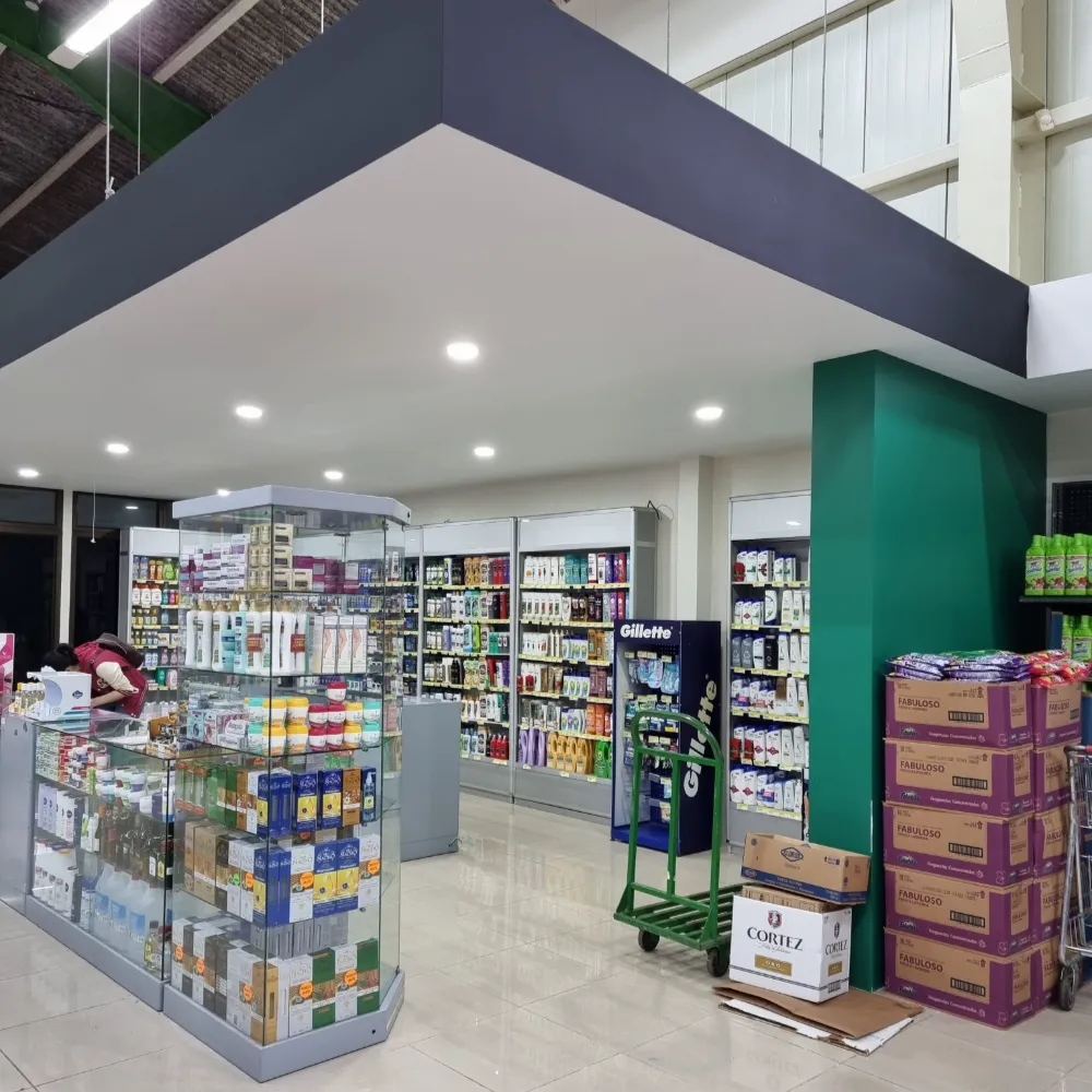 Intervenciones Internas del Punto de Venta Gran Economás Aguas Zarcas